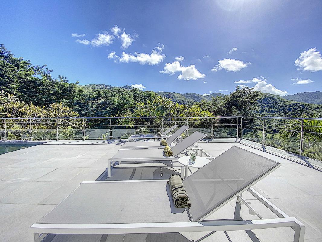 Saint Martin Pic Paradise location villa __piscine-20